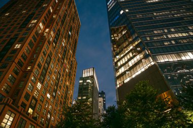 Aydınlatılmış tuğla ve cam ofis binaları Manhattan şehir merkezindeki yeşil ağaçların üzerinde yükseliyor. Sahne, New York 'ta şehir mimarisi ve şehir hayatını vurguluyor.