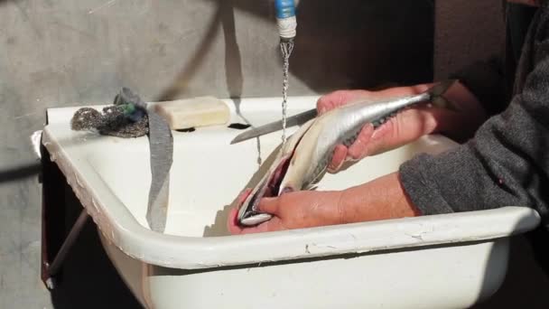 Old woman washes fish. — Stock Video