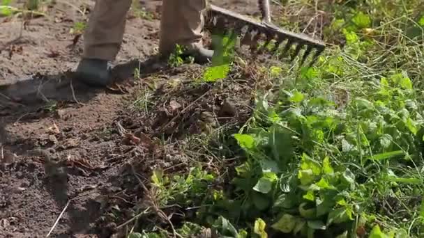 Фермер чистит огород. — стоковое видео