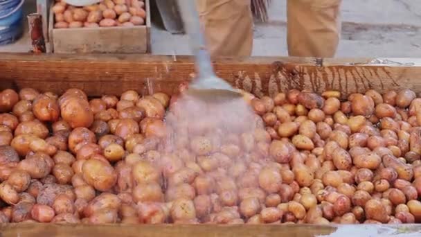 Goede oogst van aardappelen. — Stockvideo