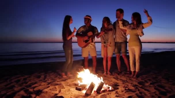 Young people having fun around the campfire. — Stock video