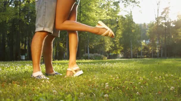 Gli amanti che si baciano nel parco . — Video Stock