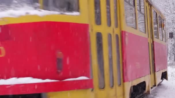 Tramvaj projít zimní dřevo. — Stock video
