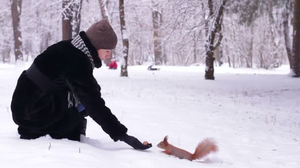 Girl feeds the squirrel nuts in the park. — Stock Video