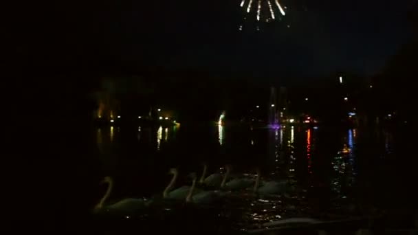 湖の上の花火. — ストック動画