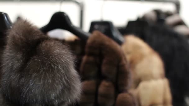 Mink coats hanging in the shop window. — Stock Video