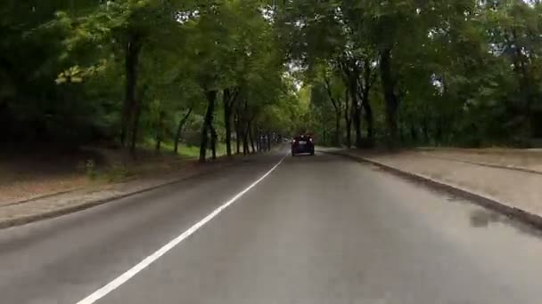 Autos fahren durch die Gasse. — Stockvideo