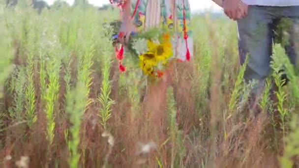 Paar in liefde wandelen op het veld. — Stockvideo