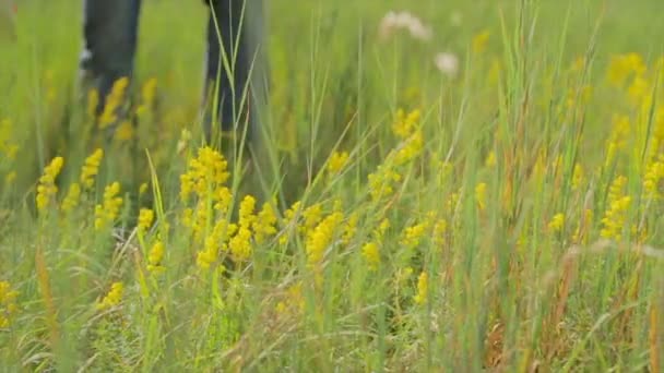 Liefhebbers wandeling langs het veld. — Stockvideo