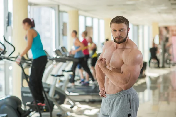 Hombre muscular en el gimnasio. — Foto de Stock