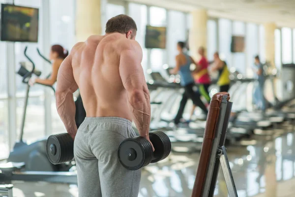 Bodybuilders sterke rug. — Stockfoto