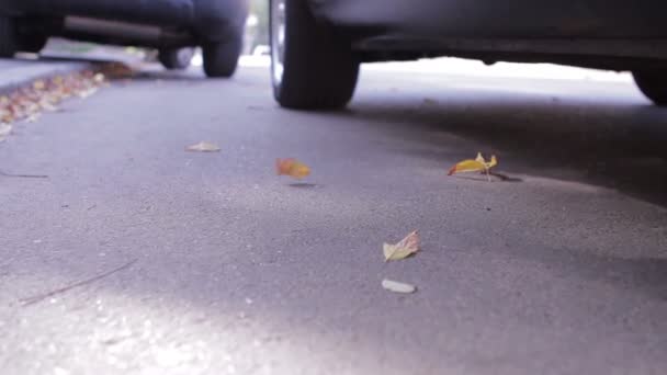 Zakenman die zijn coming out van de auto. — Stockvideo