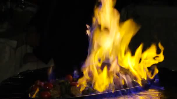 Fleisch auf Feuer gekocht. — Stockvideo