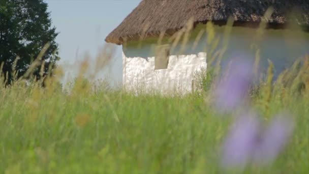 Cabaña histórica en un campo . — Vídeo de stock