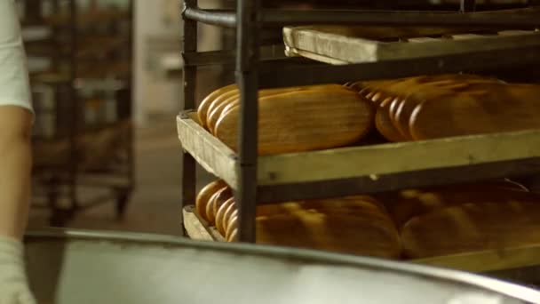 Ekmek yapım ürünleri imalatı. — Stok video