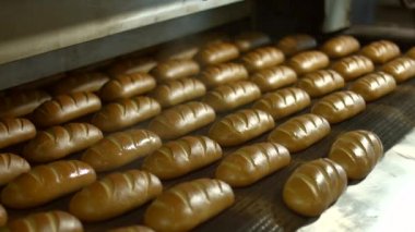 Fabrikadaki ekmek.