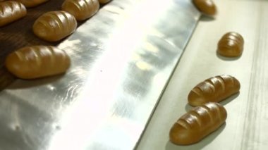 Fırından sıcak buns. Taze ekmek.