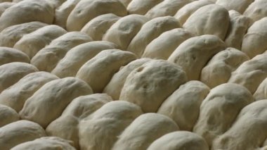 Hamur mayaları. Çörek hamur ürünleri.