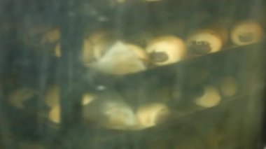 Ekmek fabrikası. Buns fırında açmak.