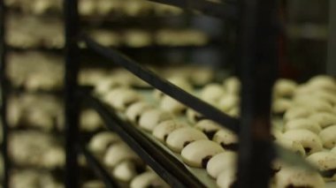 Tatlı çörekler fabrikada imalatı.