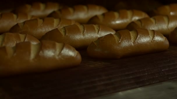 Belos pães no forno . — Vídeo de Stock