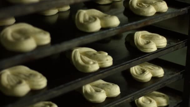 Het maken van broodjes. Productie van dessert. — Stockvideo