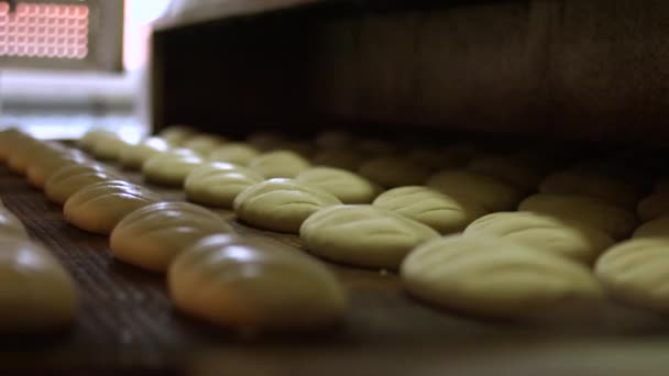 Baking of bread. Manufacture of bread. — Stock Video