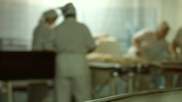 Confectioners group work at the plant. — Stock Video
