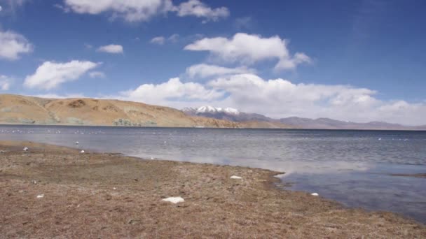 Manasarovar Gölü (Mapam Yumco). Tibet. — Stok video