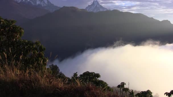 Nubes gruesas cubren el suelo en el Himalaya. Nepal . — Vídeos de Stock