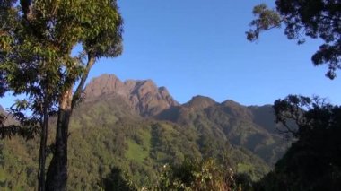 Tepelerde Rwenzori Dağları, Uganda ormanların görünümü