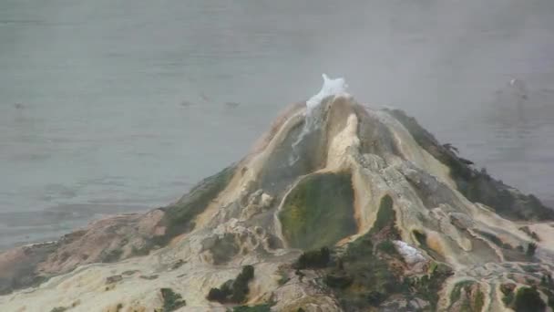 Geysir im Semliki-Nationalpark, Uganda — Stockvideo