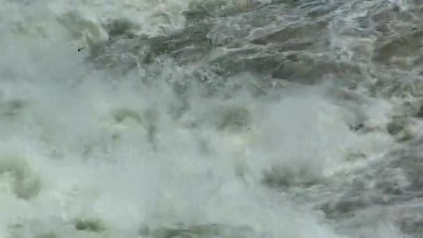 Uitzicht op de Witte Nijl River rapids — Stockvideo