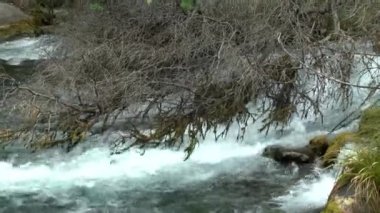 Yeni Zelanda'da kaba Nehri