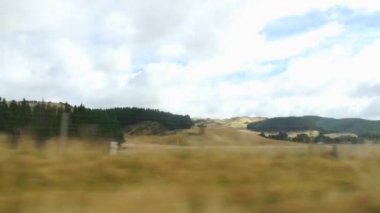 Gösterim alanları ve tepeler hareketi, Yeni Zelanda