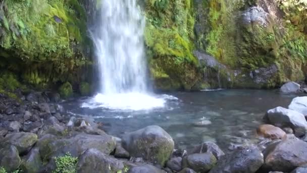 Waterval in Nieuw-Zeeland — Stockvideo