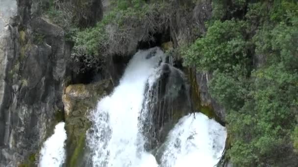 Waterval in Nieuw-Zeeland — Stockvideo