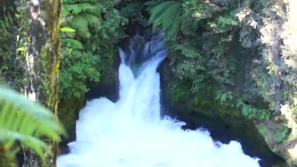 Tutea Falls. Rzeka Kaituna. Nowa Zelandia — Wideo stockowe