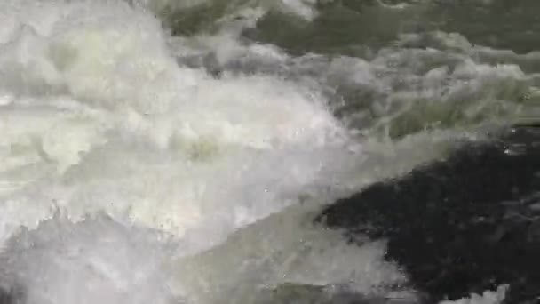 Beyaz Nil Nehri rapids görünümünü — Stok video