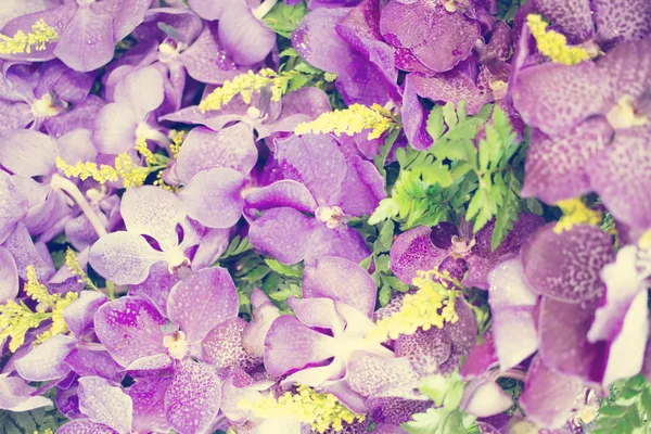 Flori fundal efect vintage imagini stil . — Fotografie, imagine de stoc