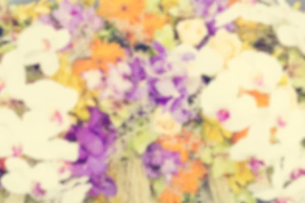 Flower background -vintage effect style pictures. — Stock Photo, Image