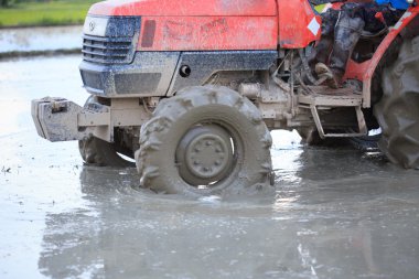 Chiang Mai, Tayland pirinç tarlayı traktör.