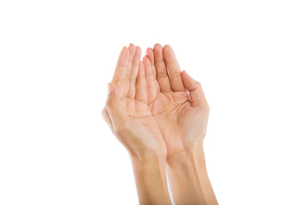 Manos de oración aisladas sobre fondo blanco . — Foto de Stock