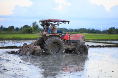 Bir pirinç Chiang Mai, Tayland Ağustos'ta tarlayı traktör 0