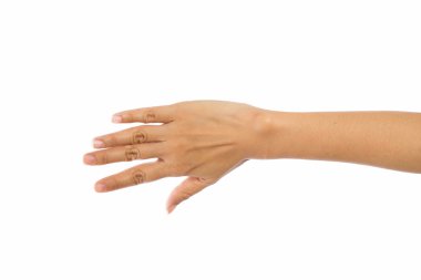 Kadın elleri beyaz arkaplanda