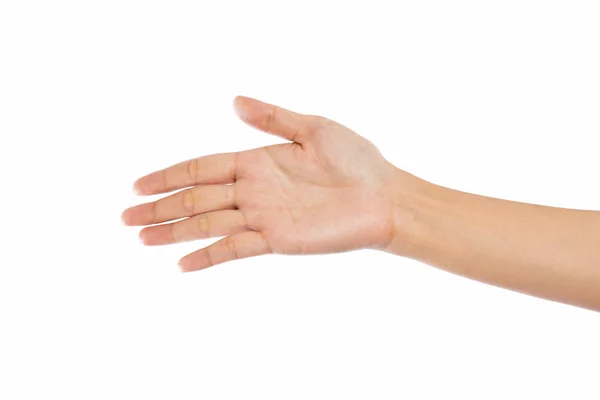 Kadın elleri beyaz arkaplanda — Stok fotoğraf