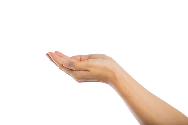 Praying Hands Isolated on white background.