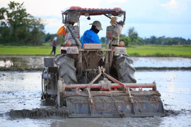 Bir pirinç Chiang Mai, Tayland Ağustos'ta tarlayı traktör 0