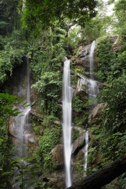 Tayland güzel şelale.