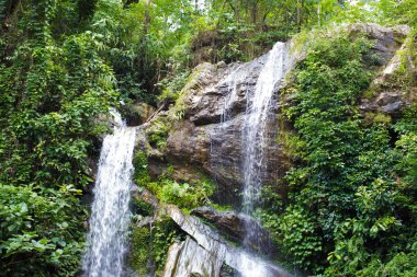 Tayland güzel şelale.